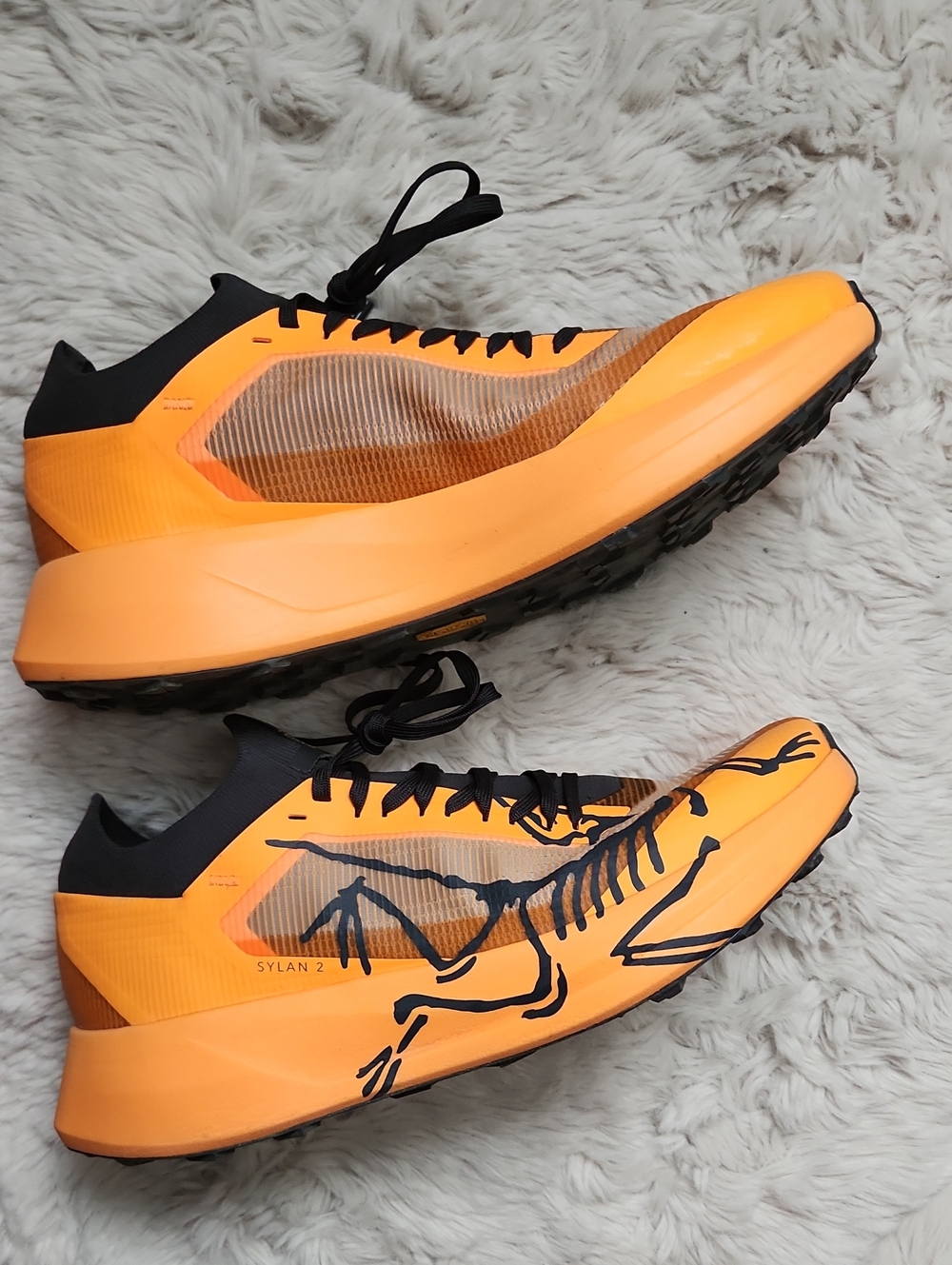 Arc'teryx EUC Sylan 2 Mens Size 10
